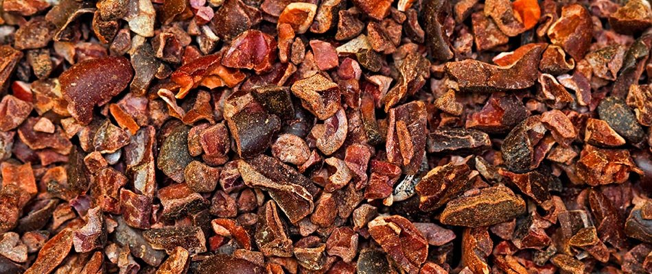 Concassage des fèves de cacao