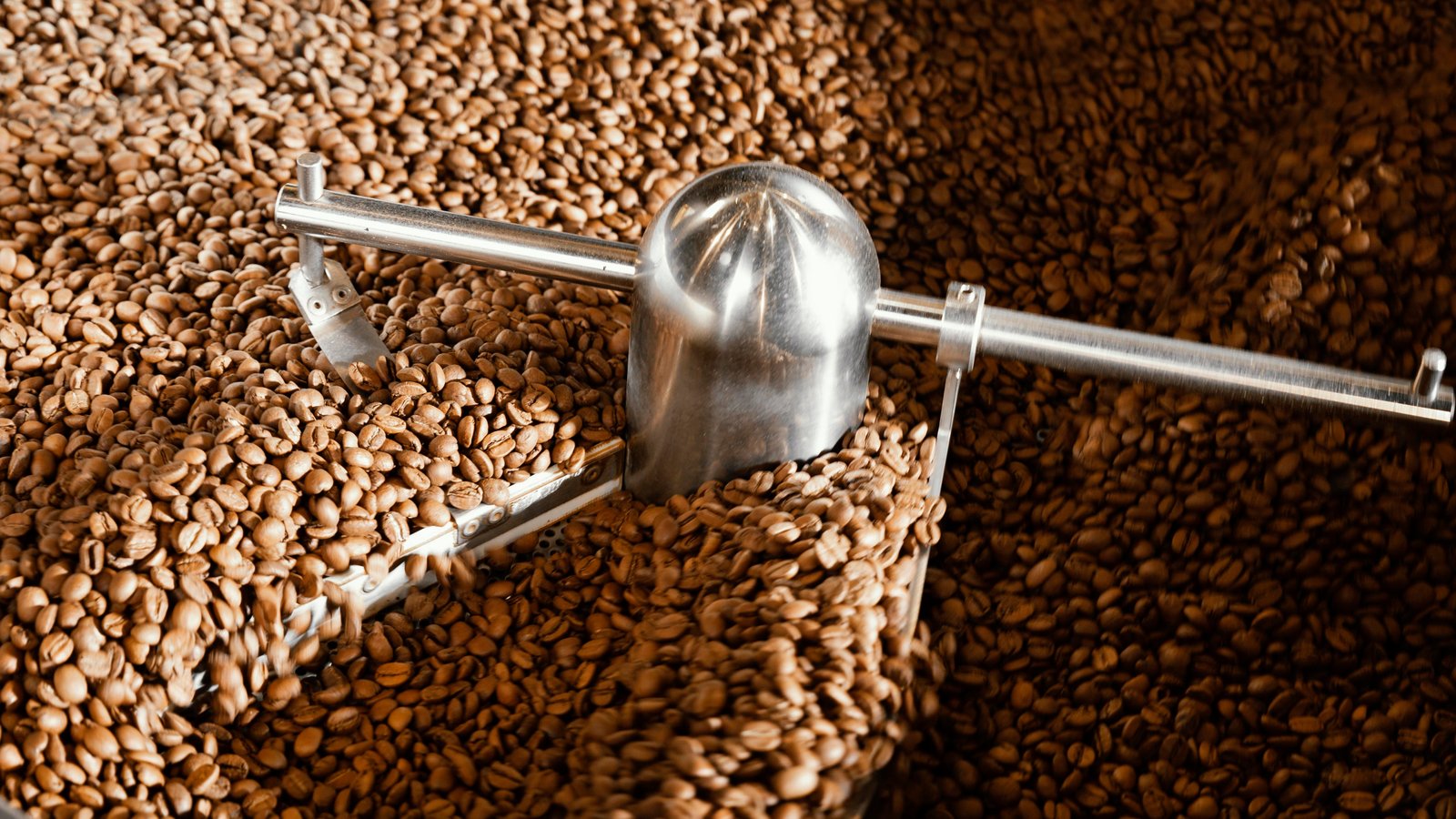 Origine du cacao World Cocoa Market